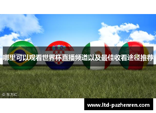 哪里可以观看世界杯直播频道以及最佳收看途径推荐