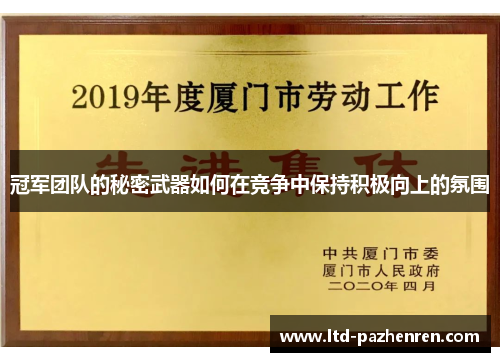 冠军团队的秘密武器如何在竞争中保持积极向上的氛围