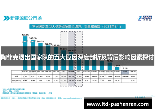陶菲克退出国家队的五大原因深度剖析及背后影响因素探讨