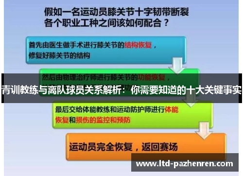 青训教练与离队球员关系解析：你需要知道的十大关键事实