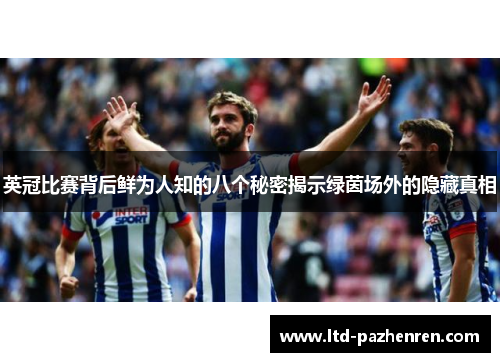 英冠比赛背后鲜为人知的八个秘密揭示绿茵场外的隐藏真相