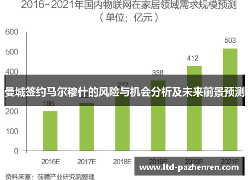 曼城签约马尔穆什的风险与机会分析及未来前景预测