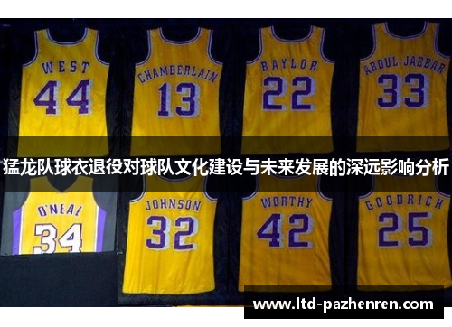 猛龙队球衣退役对球队文化建设与未来发展的深远影响分析