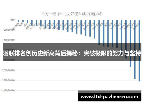 羽联排名创历史新高背后揭秘：突破极限的努力与坚持