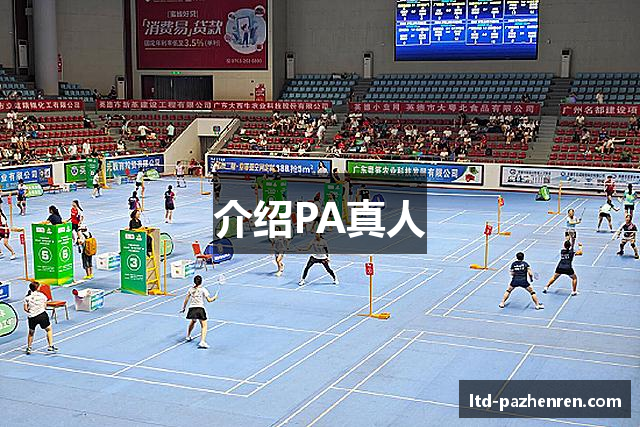 介绍PA真人